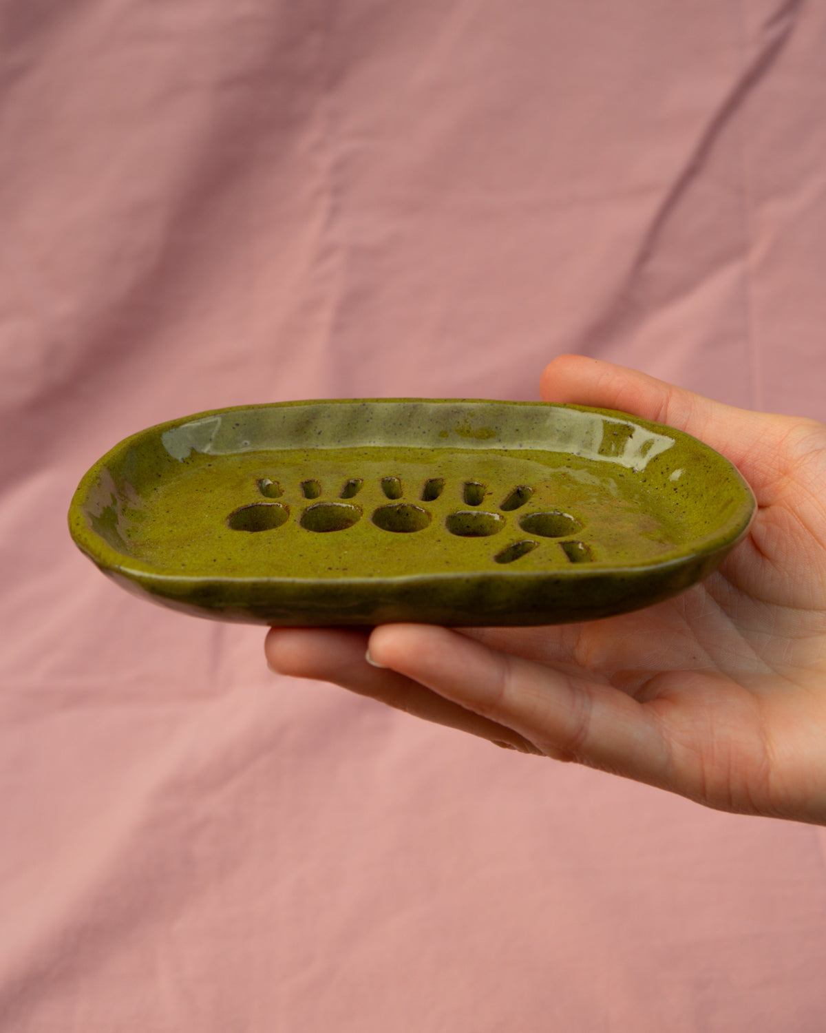 Caterpillar Soap Dish