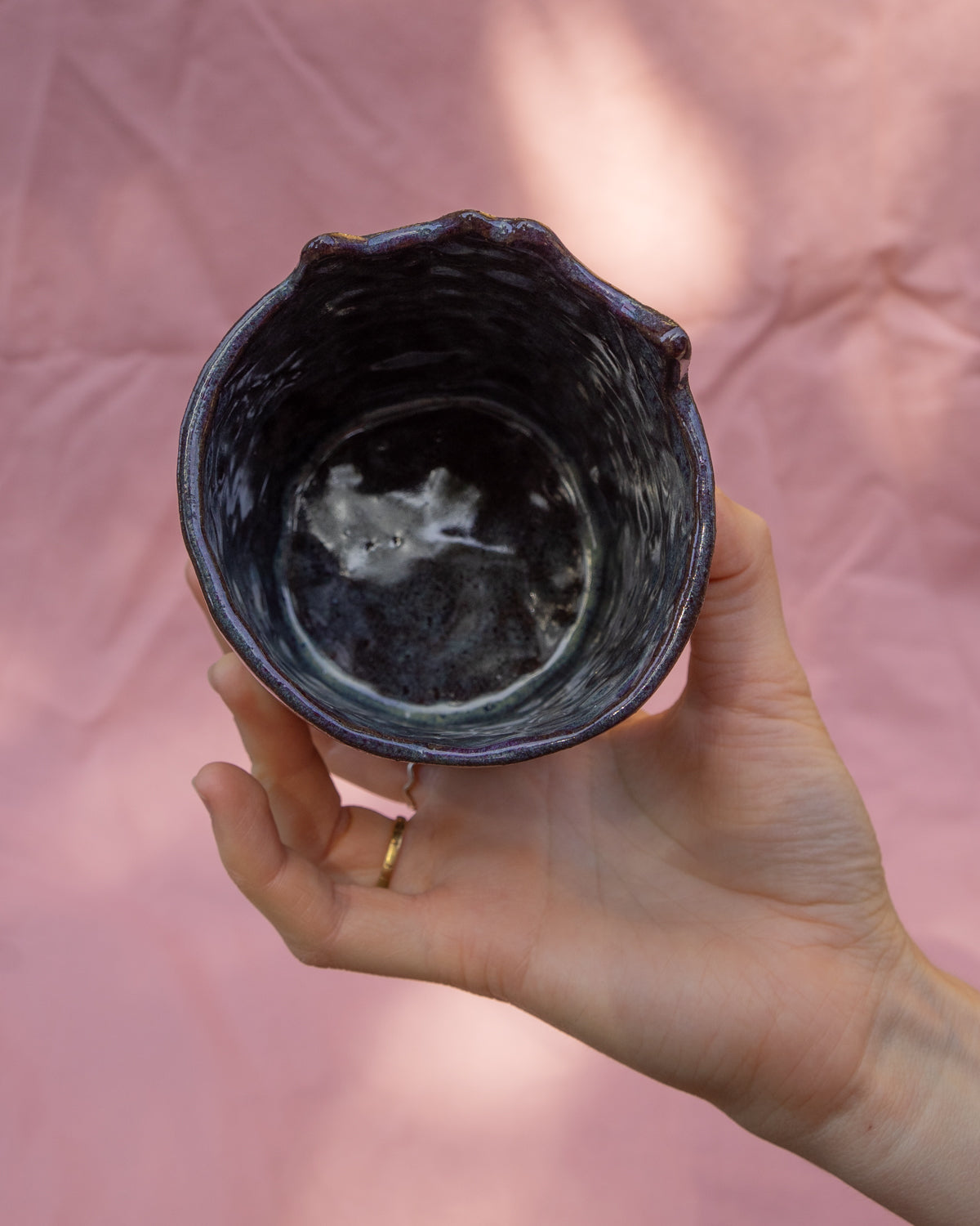 Two Cats Pot