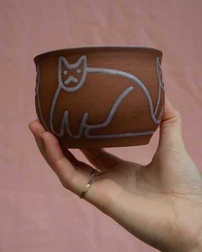 Cat Cauldron