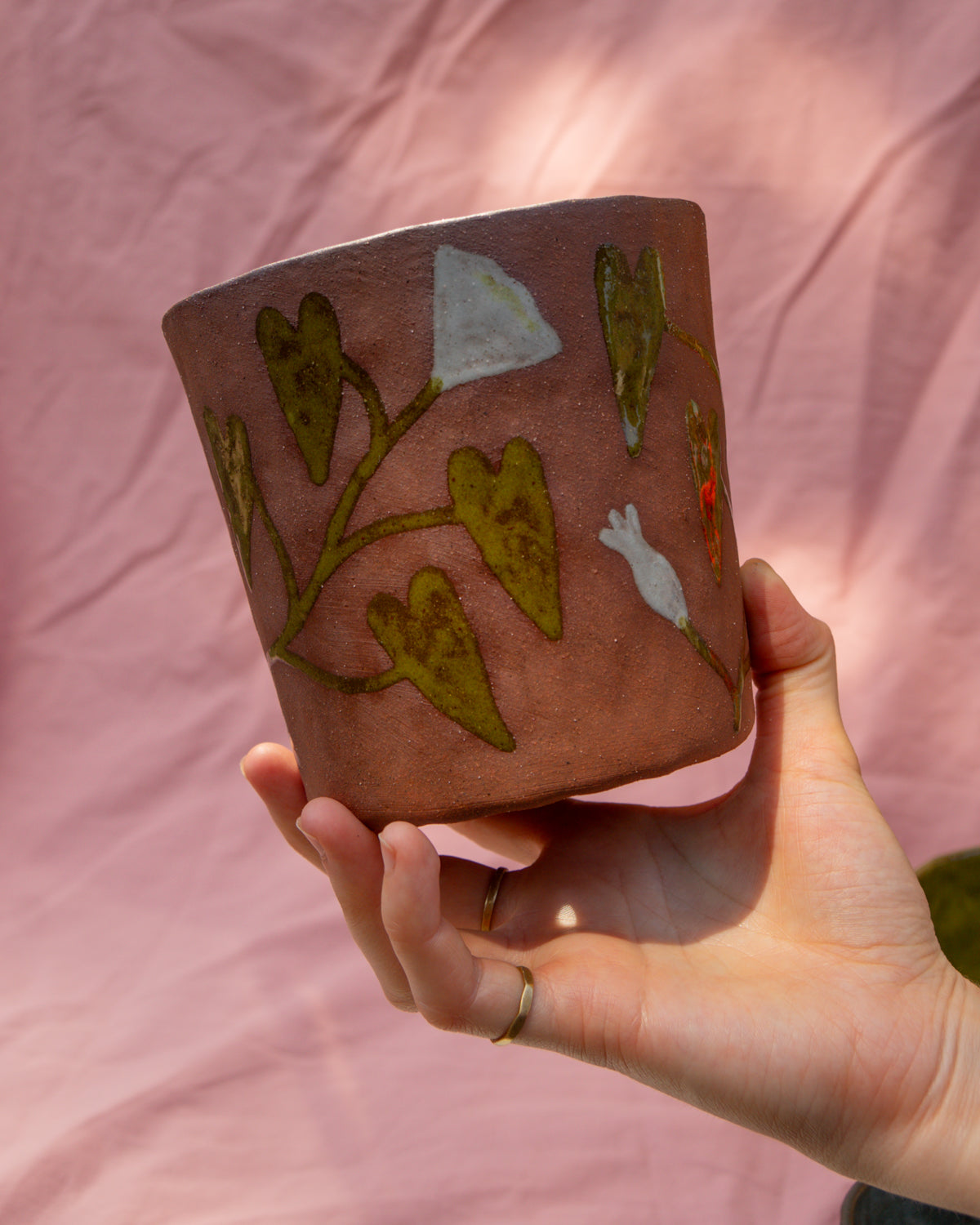 Bindweed Plant Pot