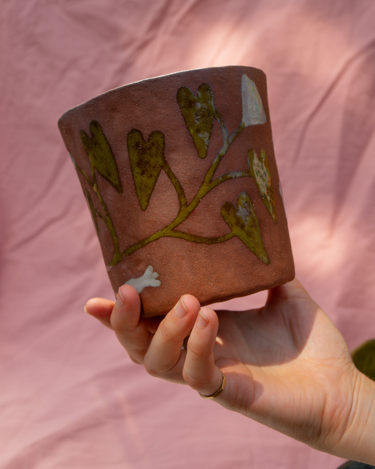 Bindweed Plant Pot