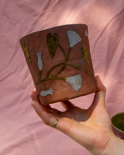 Bindweed Plant Pot