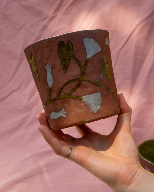Bindweed Plant Pot