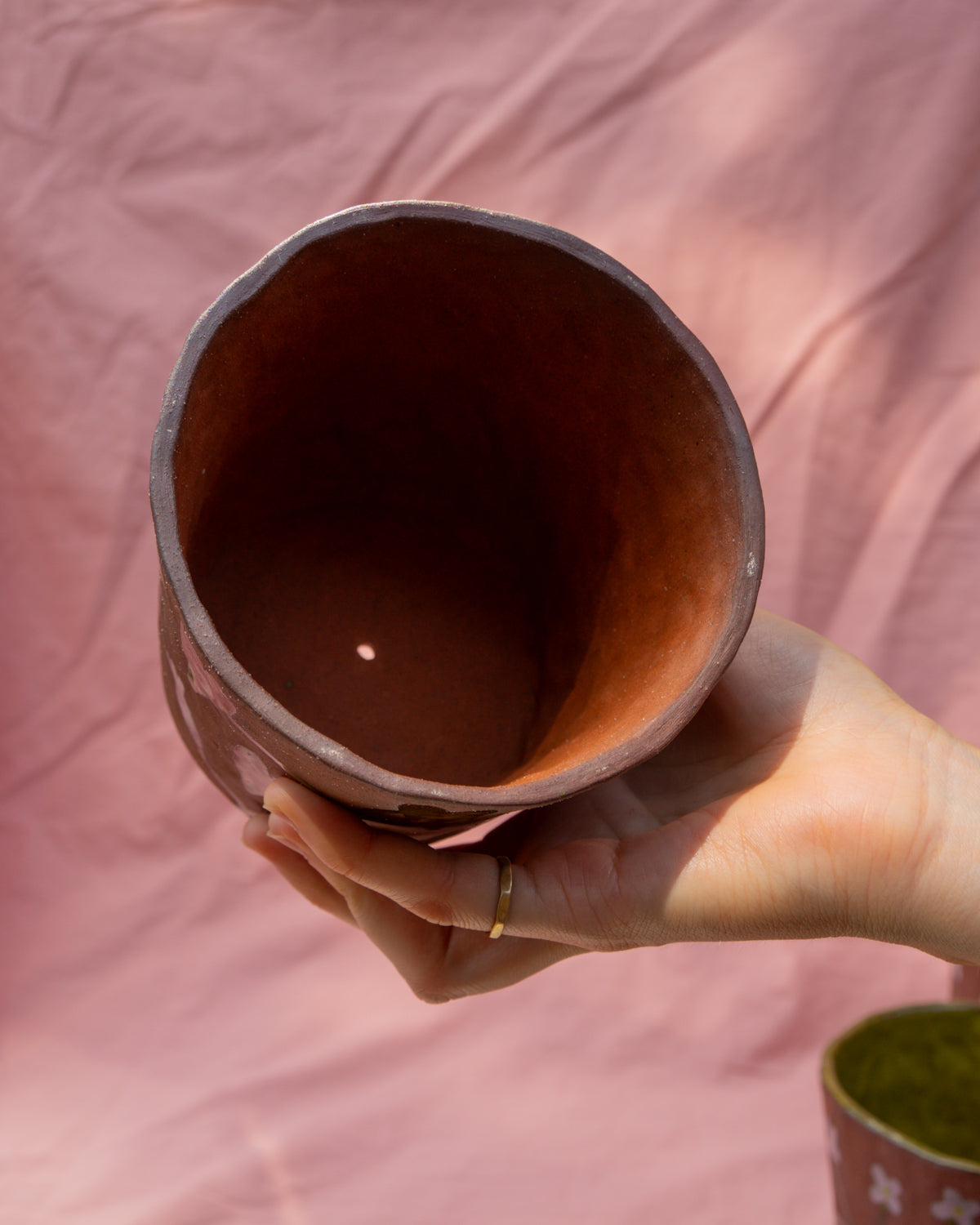 Bindweed Plant Pot