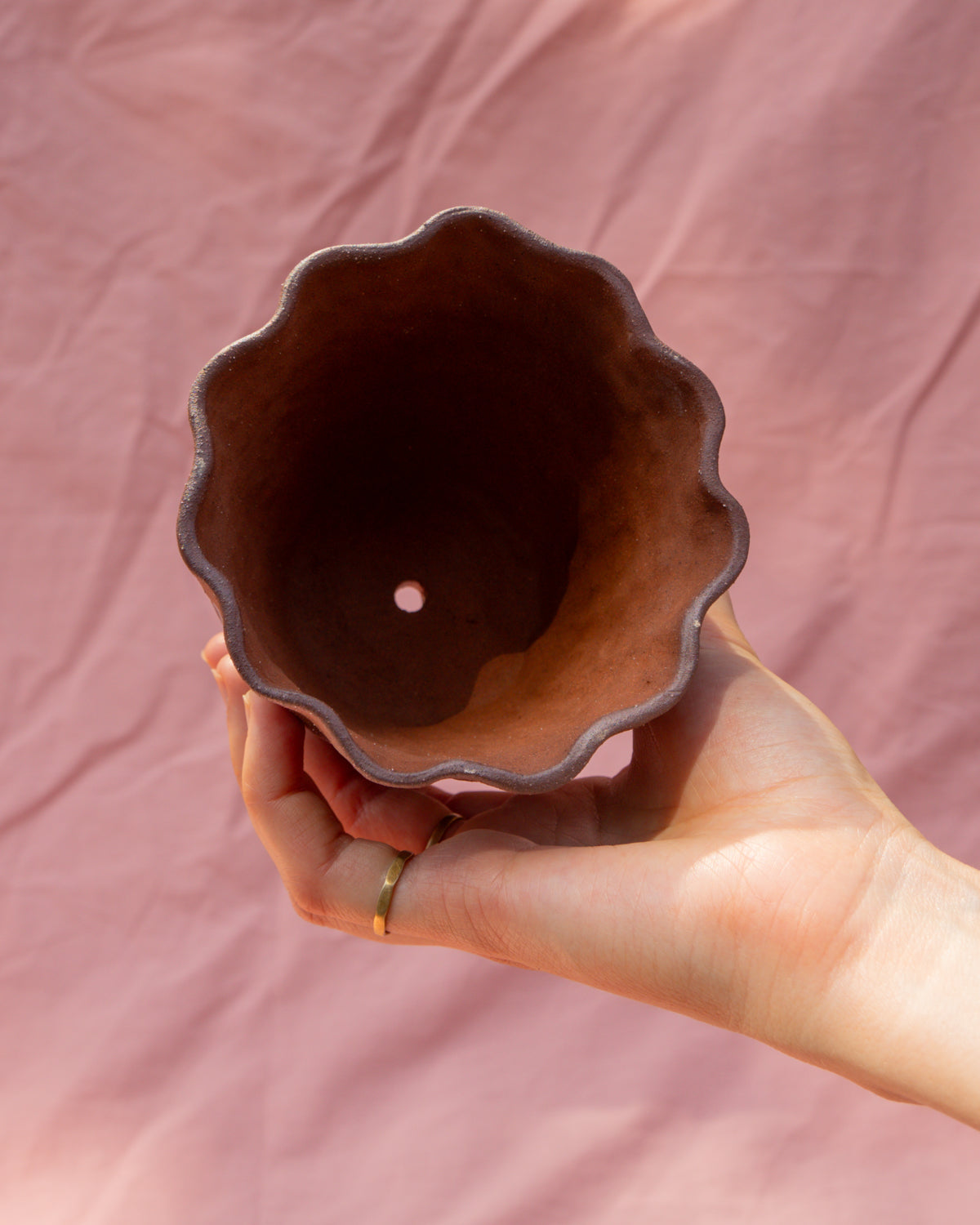 Small Frilly Bindweed Plant Pot
