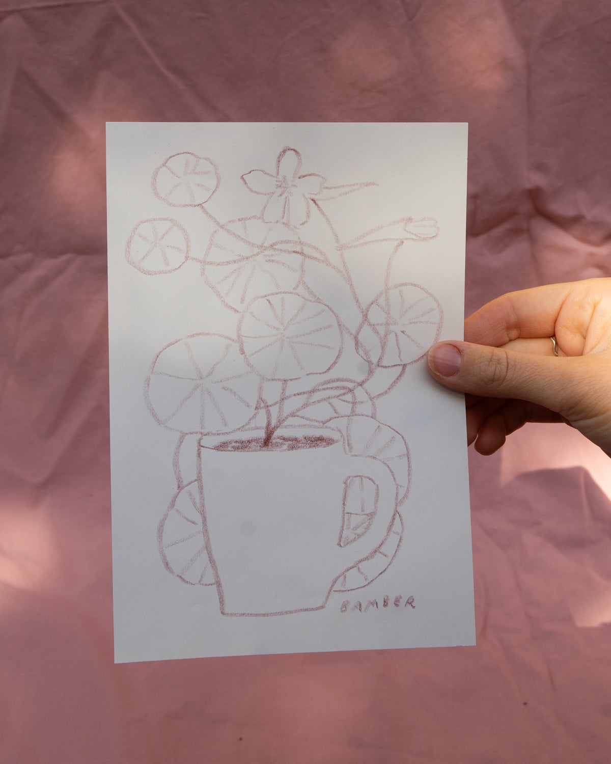 Nasturtiums Growing in a Mug