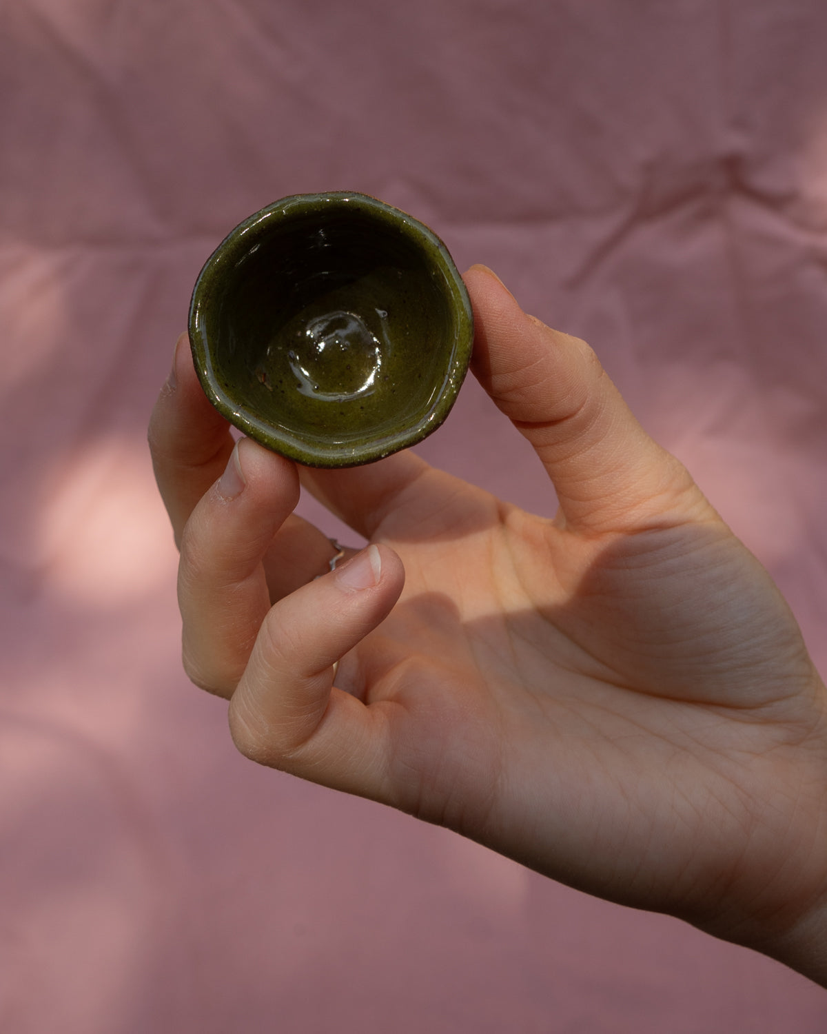Caterpillar Mini Pot