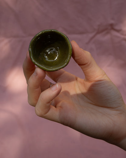 Caterpillar Mini Pot