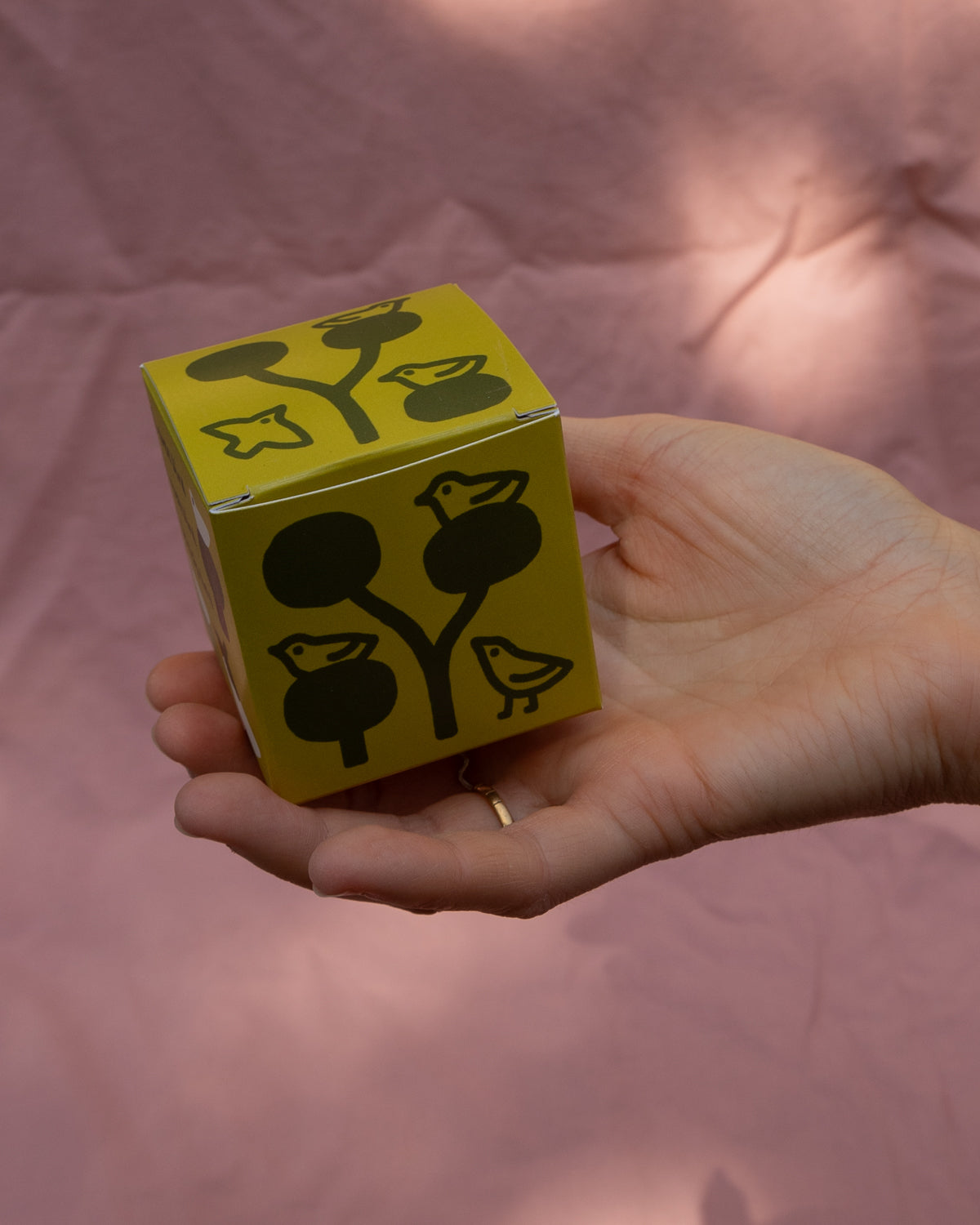 Birdy Blind Boxes