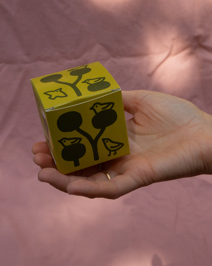 Birdy Blind Boxes