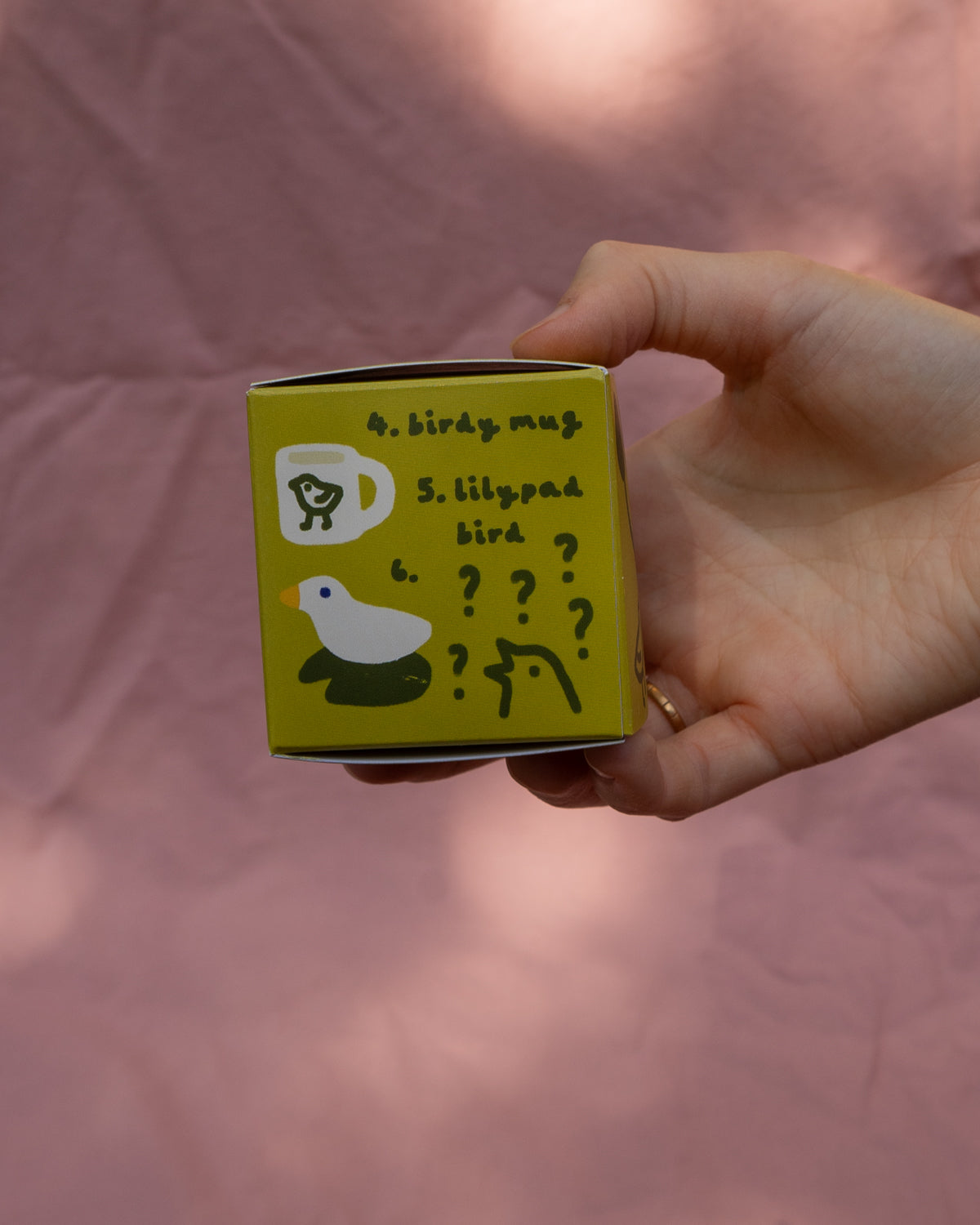 Birdy Blind Boxes