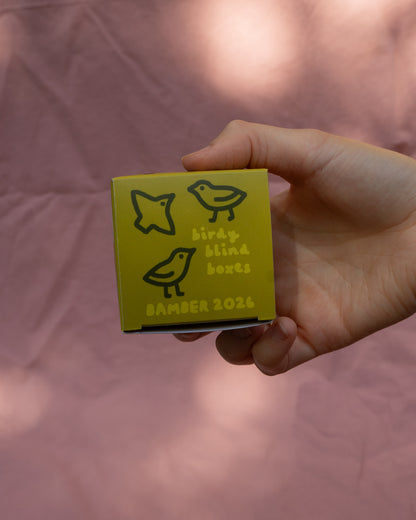 Birdy Blind Boxes