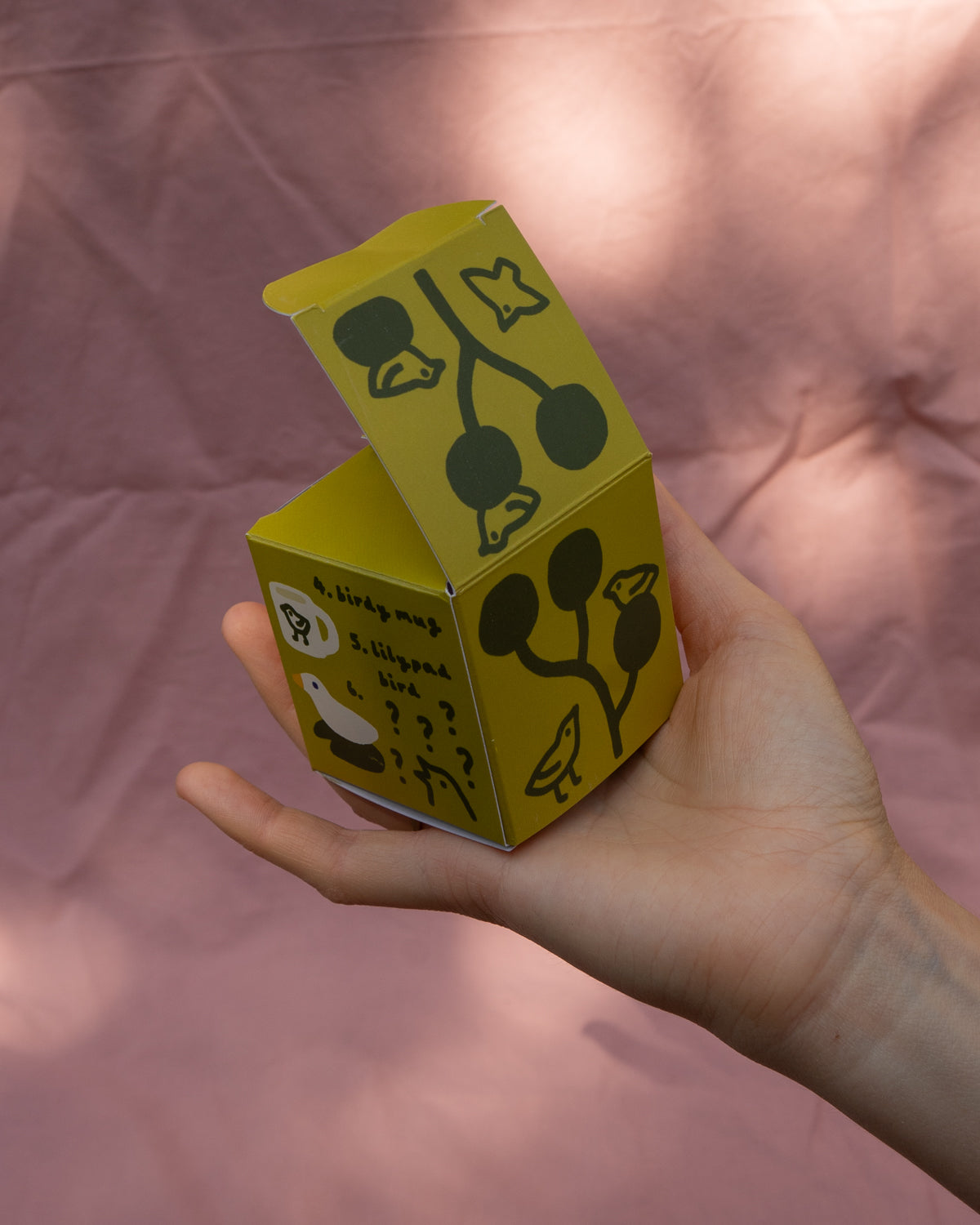 Birdy Blind Boxes
