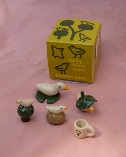 Birdy Blind Boxes