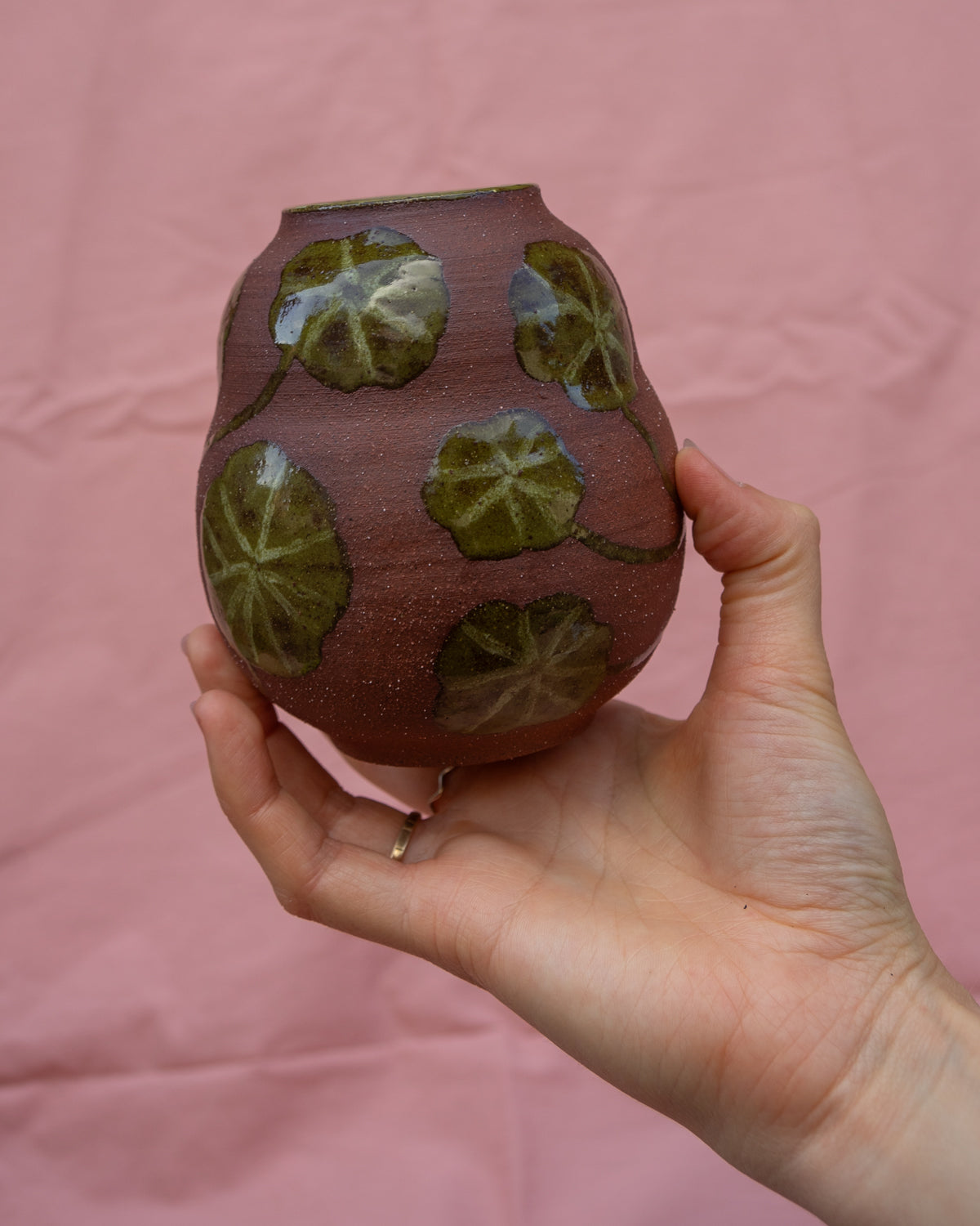 Nasturtium Leaves Terracotta Vase