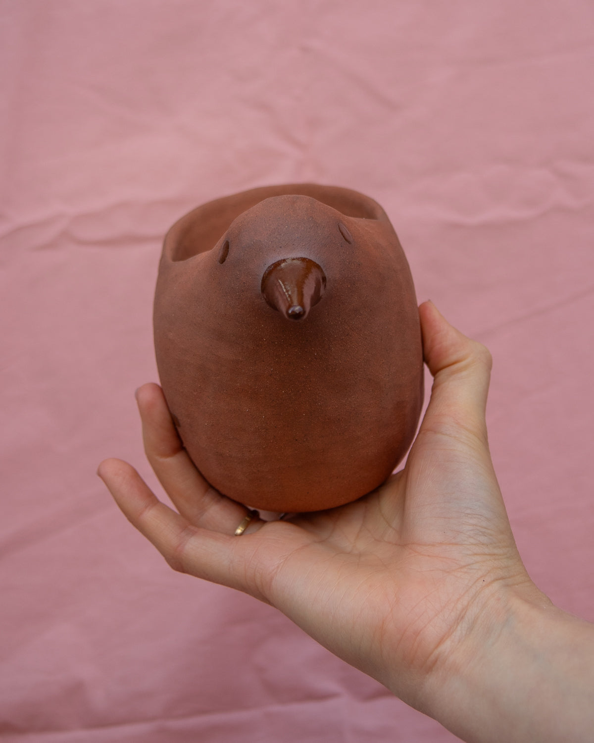 Birdy Plant Pot
