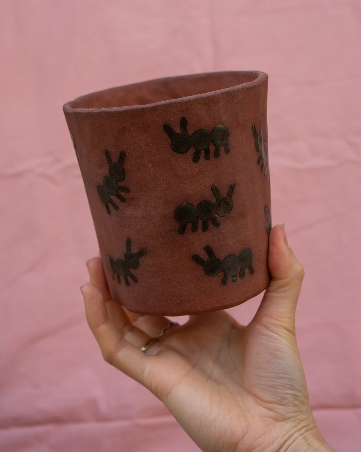 Ants Plant Pot