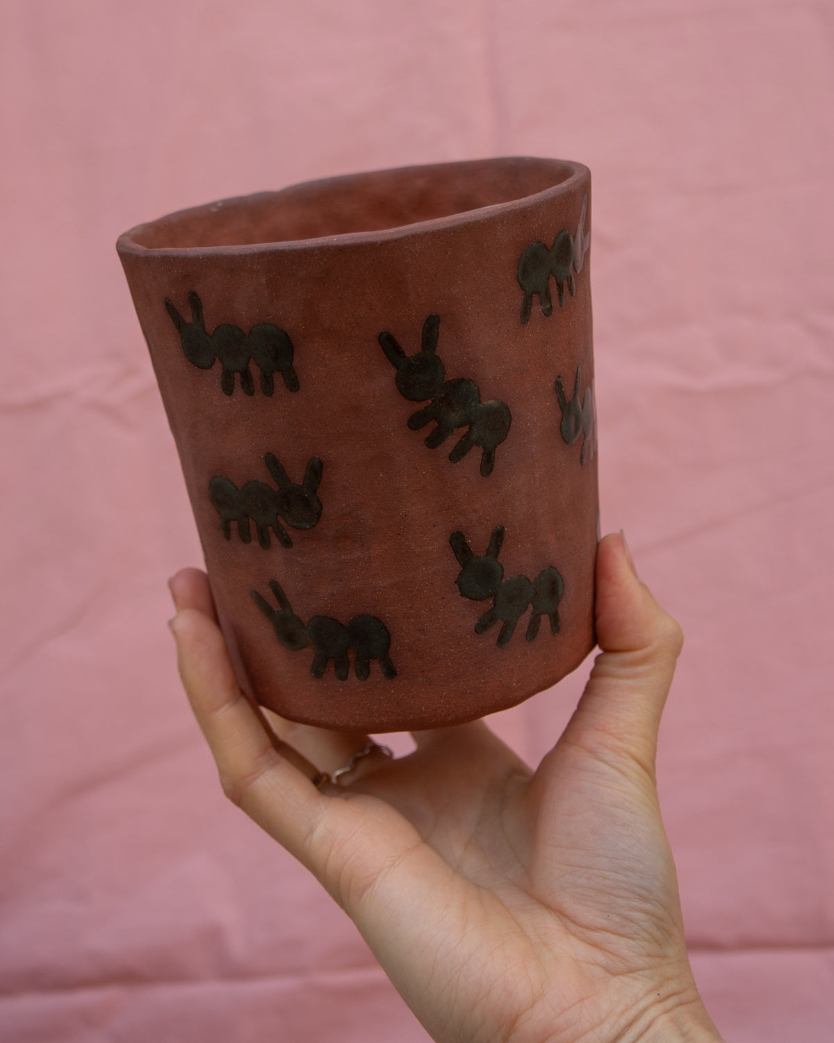 Ants Plant Pot