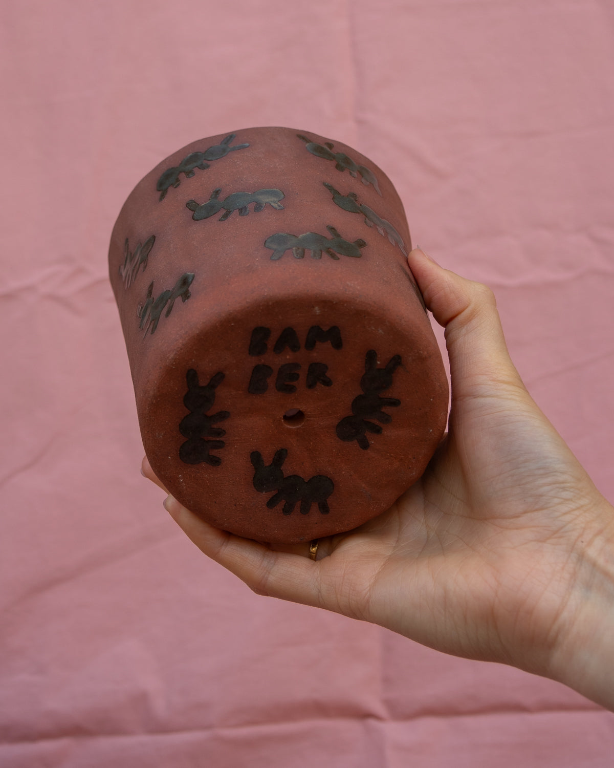Ants Plant Pot