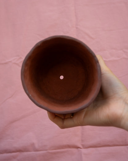 Ants Plant Pot