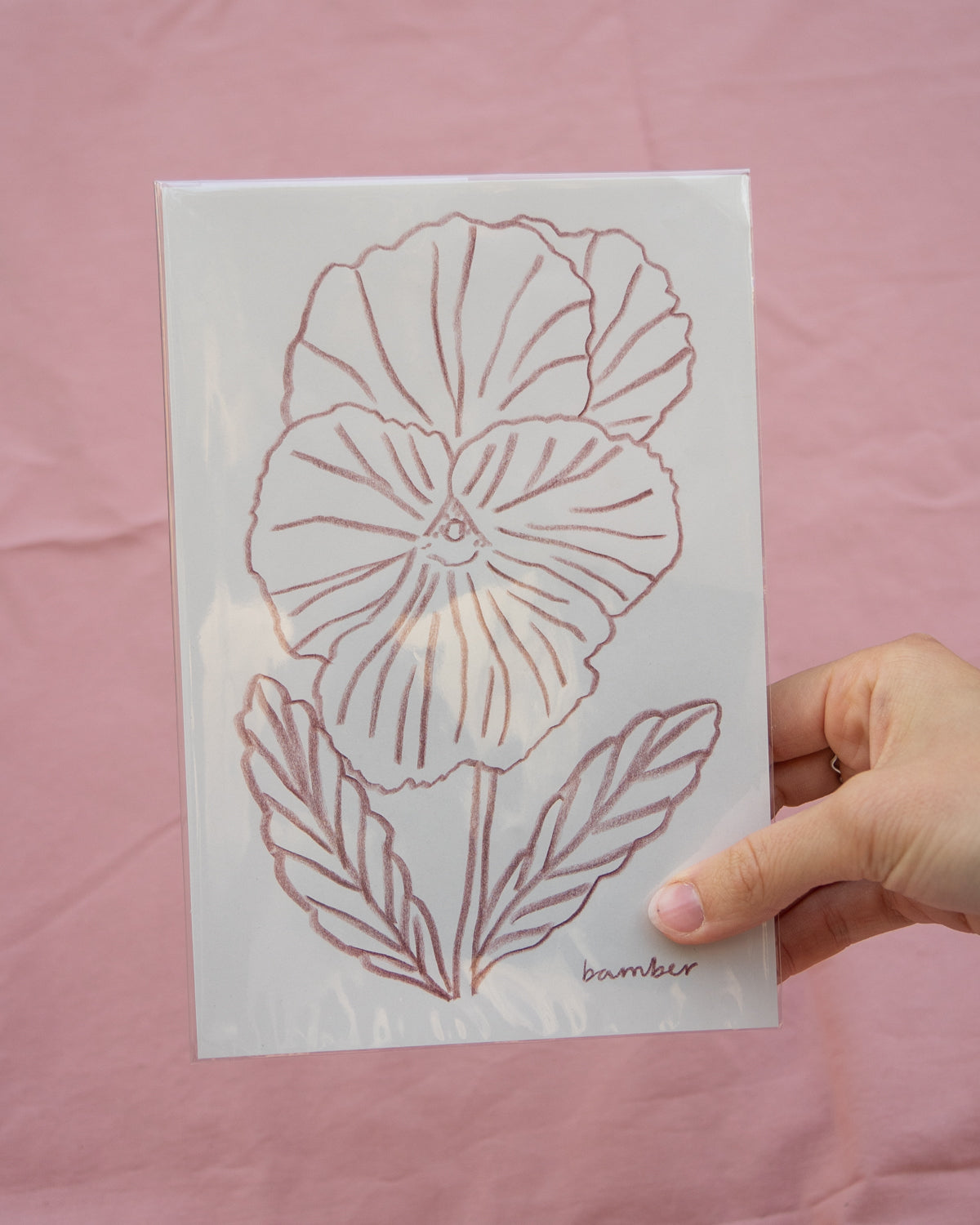 Burgundy Frilly Pansy Drawing