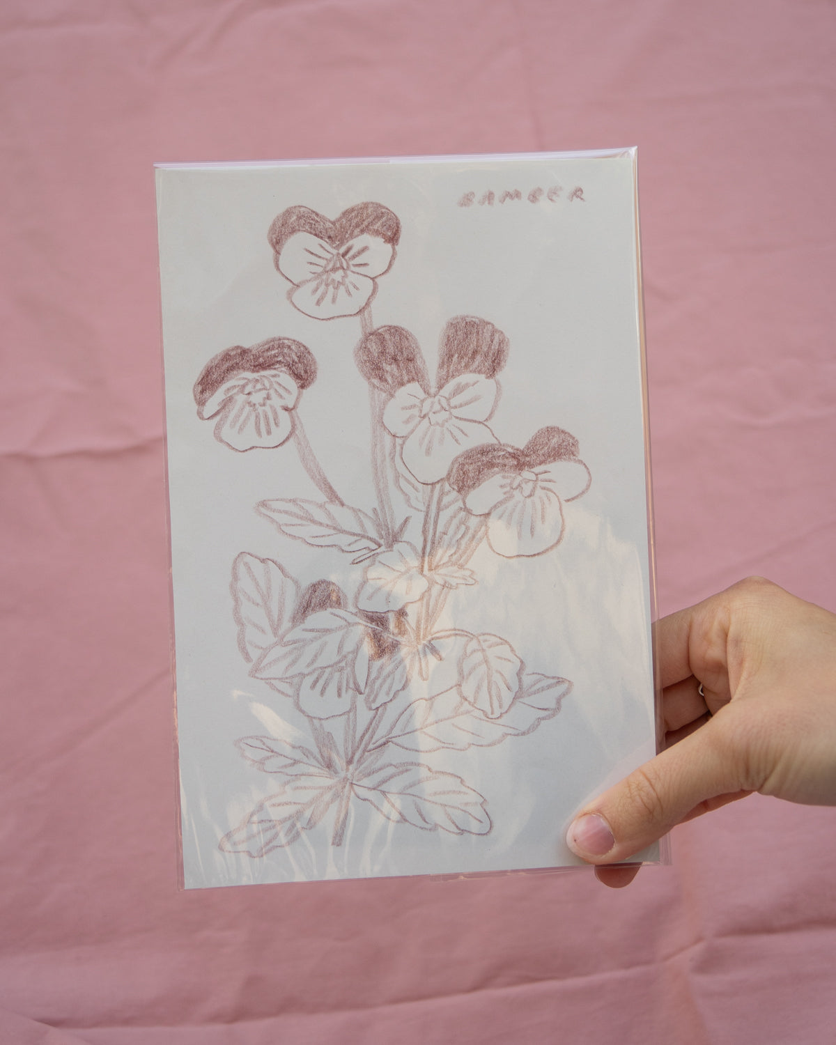 Violas Drawing