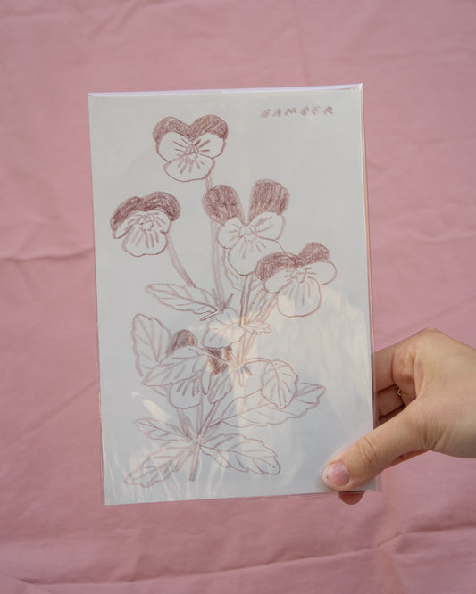Violas Drawing