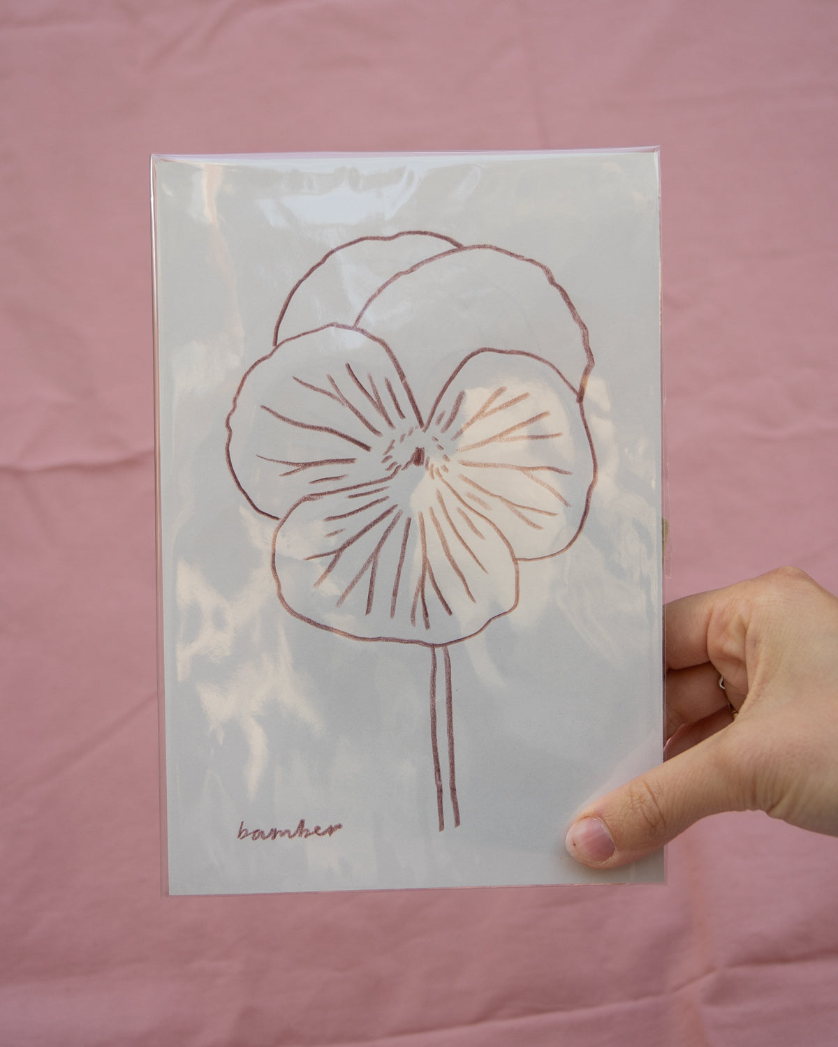 Burgundy Pansy Drawing