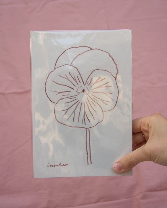Burgundy Pansy Drawing