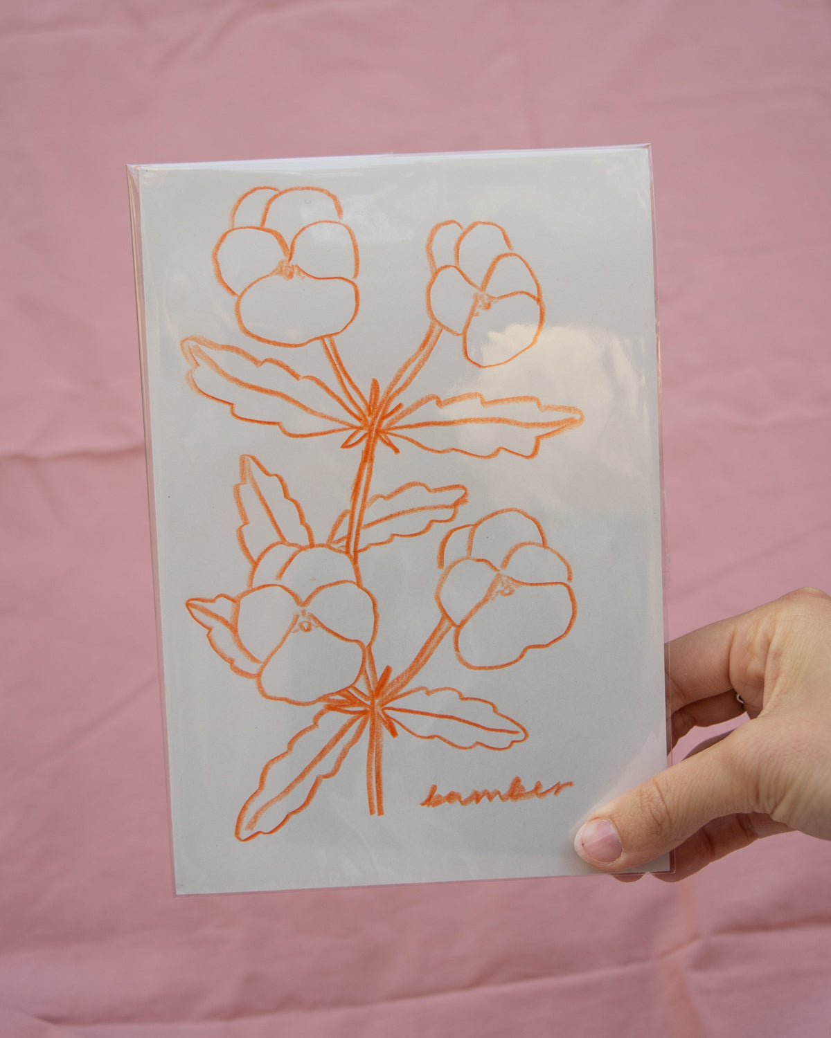 Orange Violas Drawing