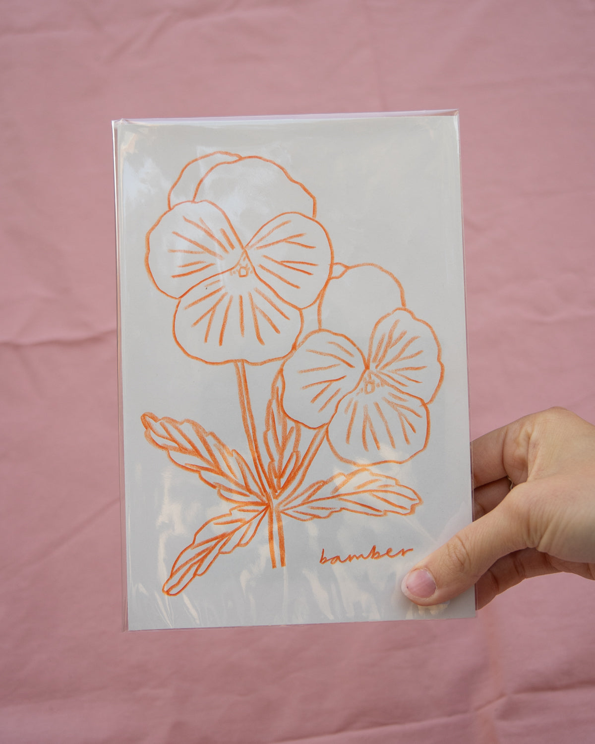 Orange Pansies Drawing