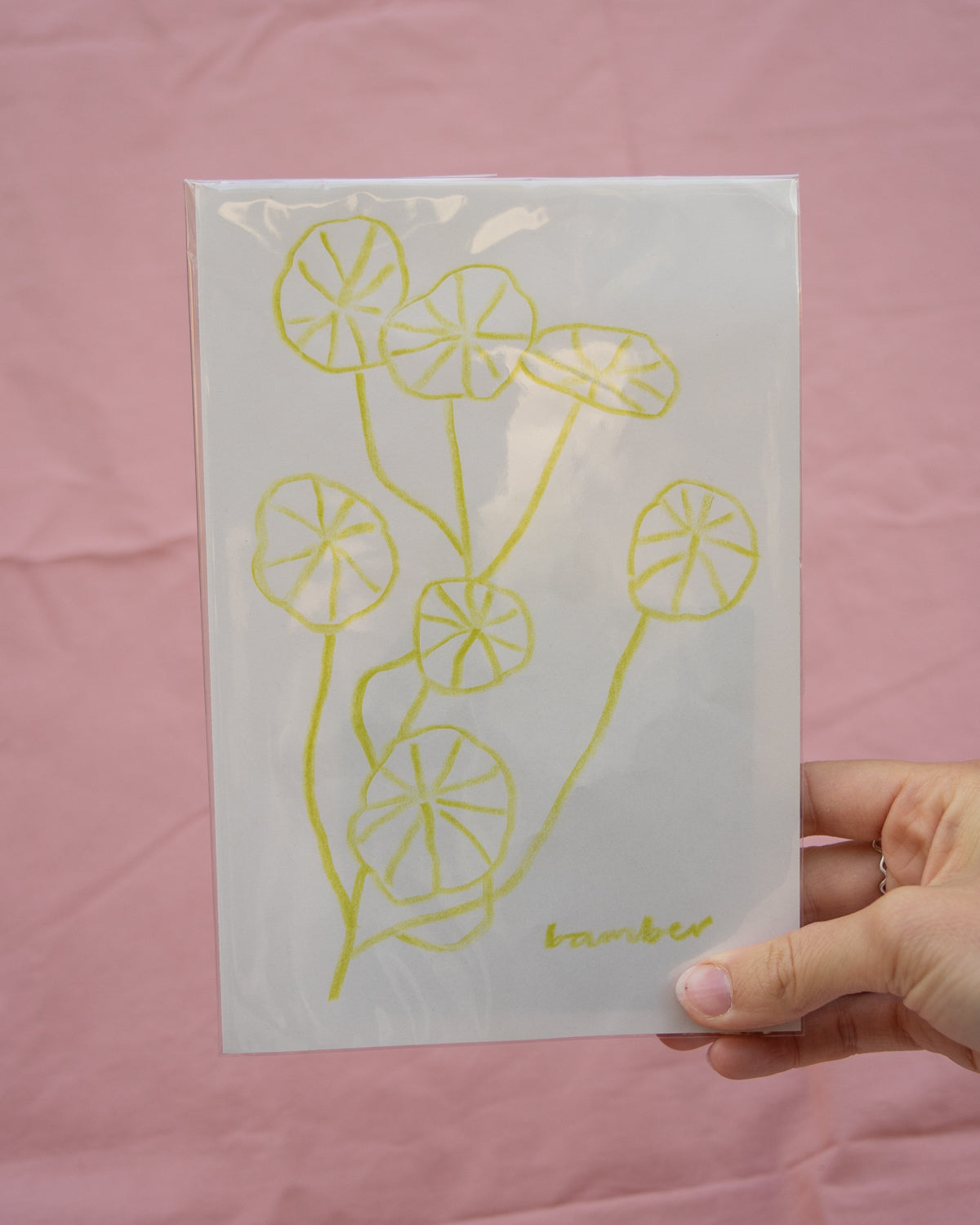 Bright Nasturtium Leaves Drawing