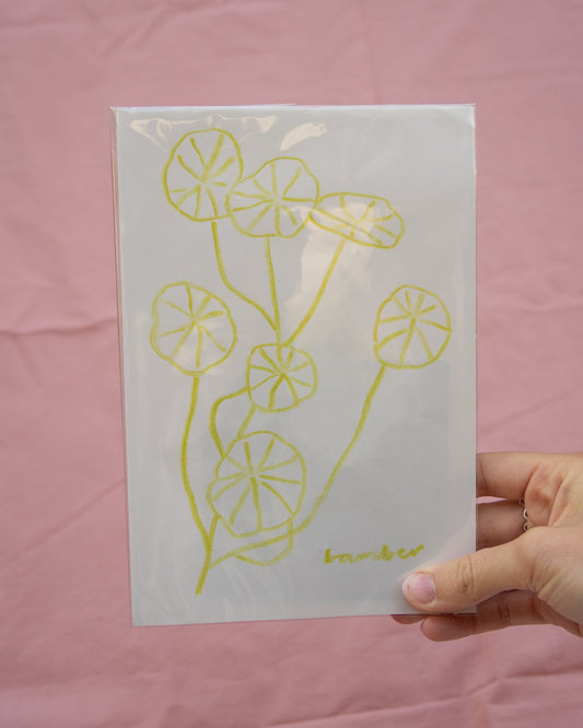 Bright Nasturtium Leaves Drawing